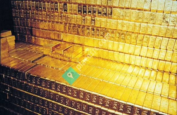 King Gold and Pawn 2