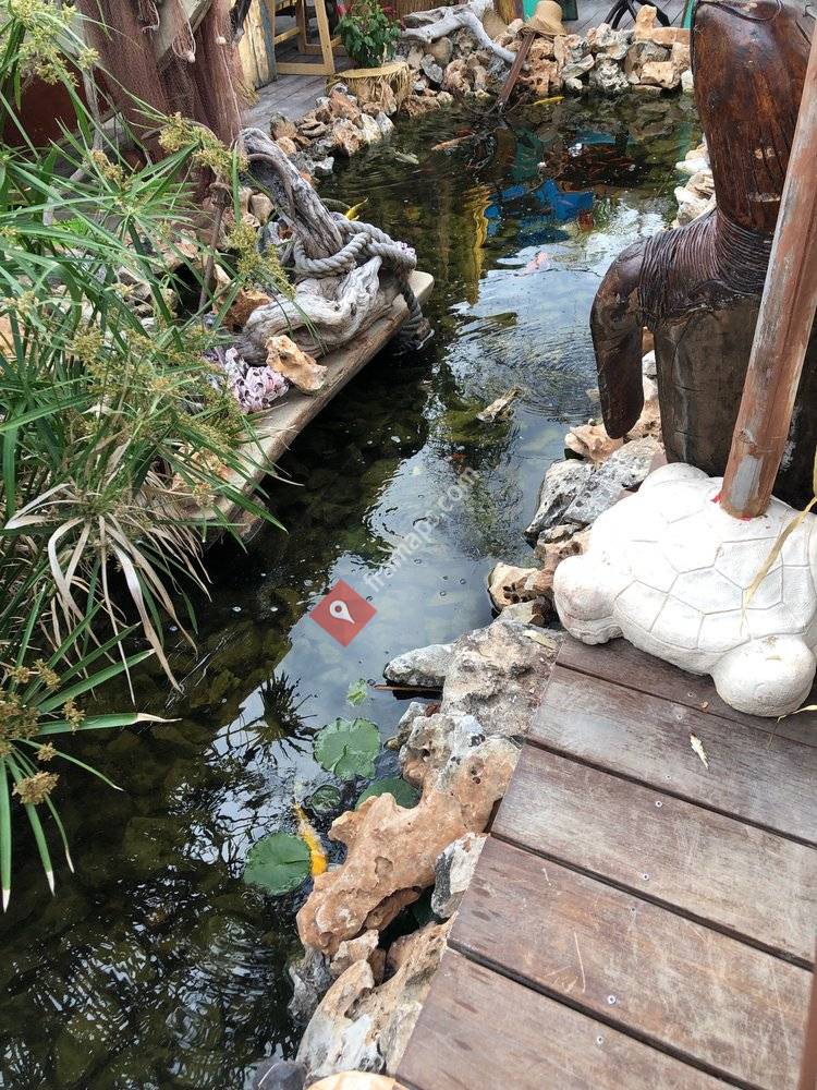 La Cabane de L'Ecailler