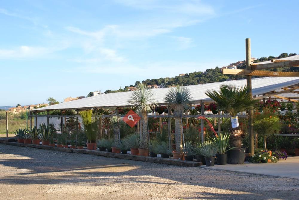 La Ferme aux Cactus