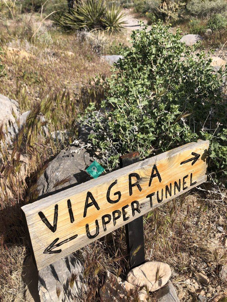 Late Night Trailhead Blue Diamond