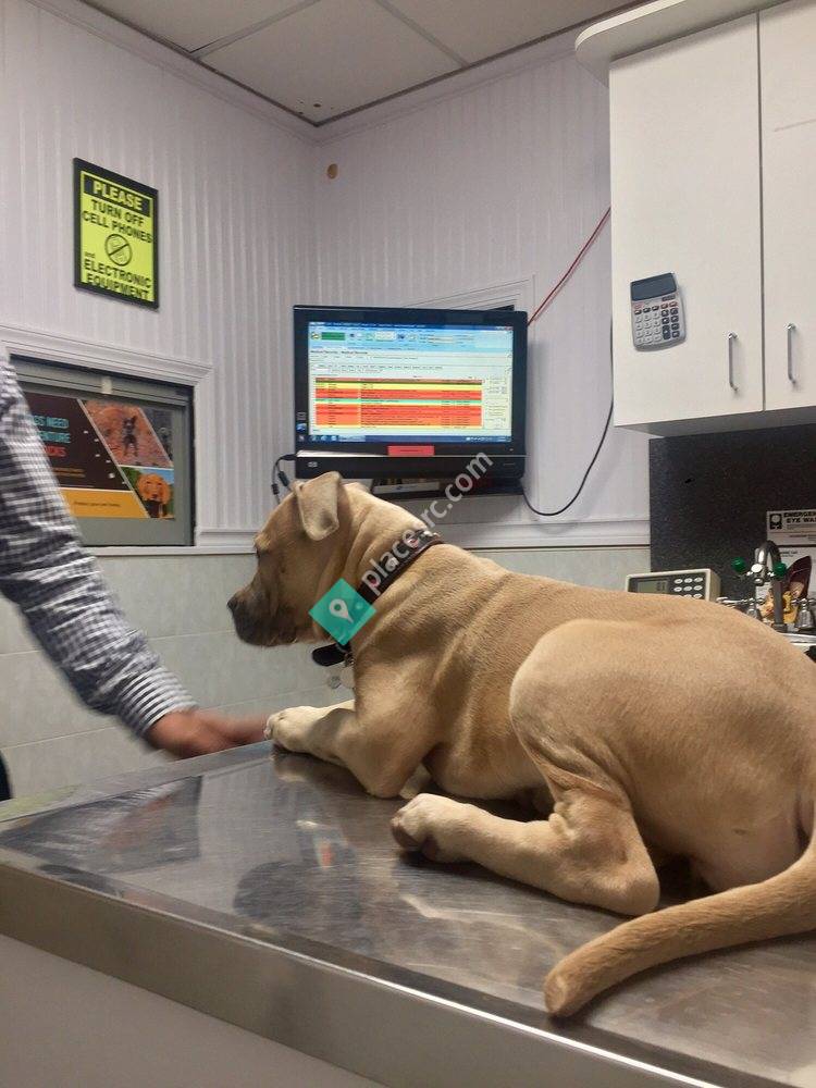 Lefferts Animal Hospital Richmond Hill