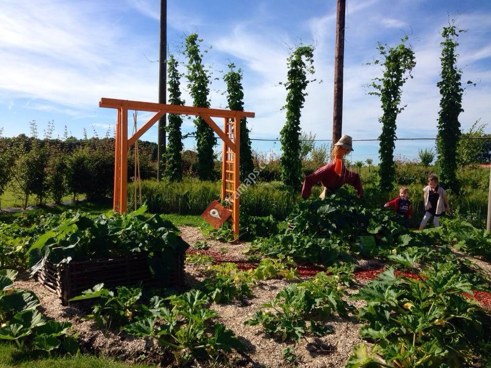 Les compagnons des saisons