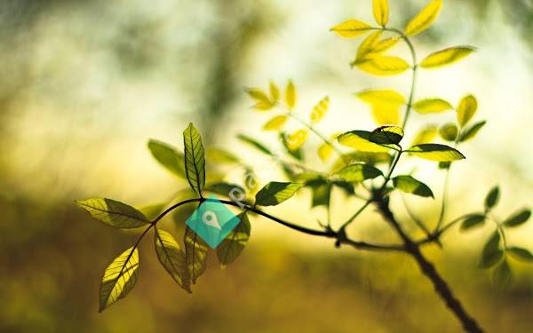 Life Counseling Center, LLC