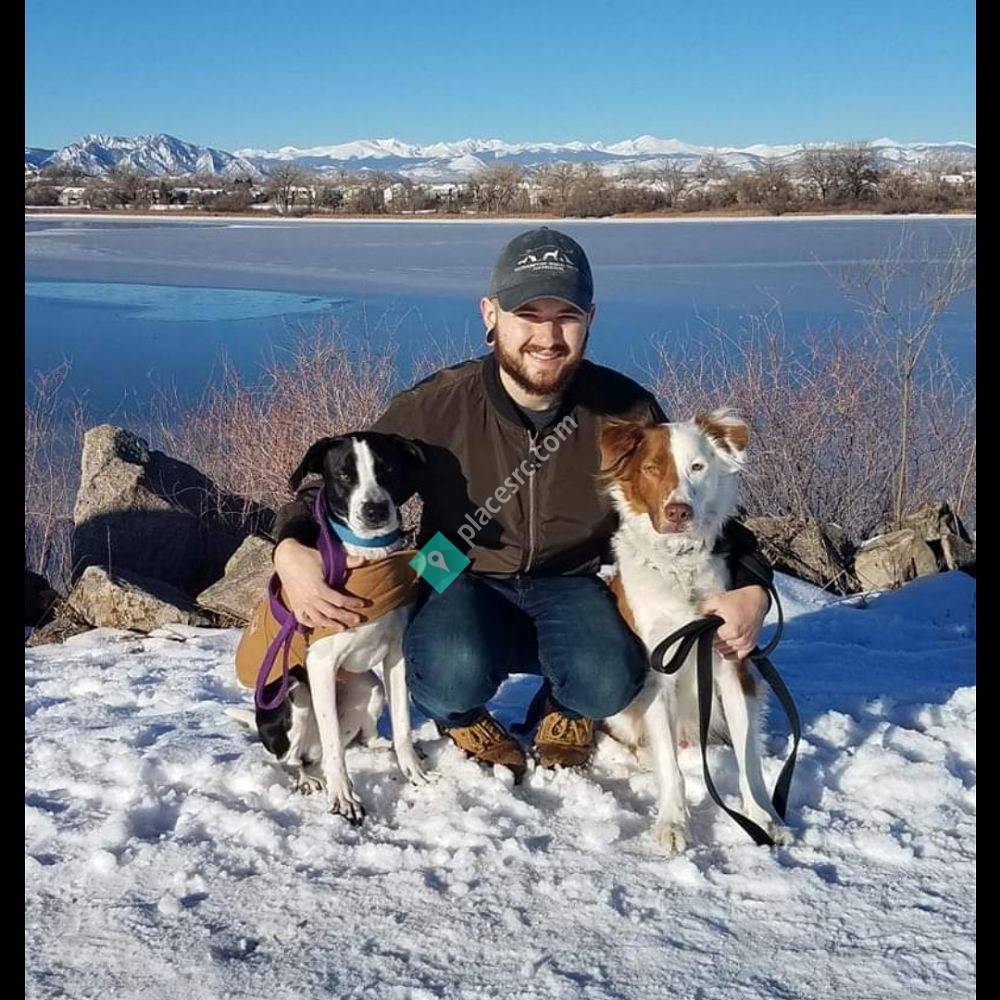 Loving Leaders Dog Training