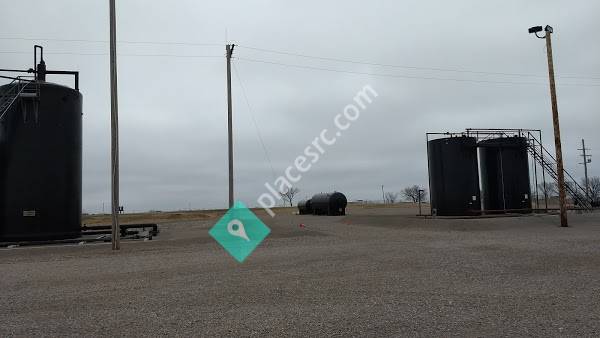 Mary Sudik Oil Gusher