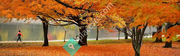 Massachusetts Psychiatric Services