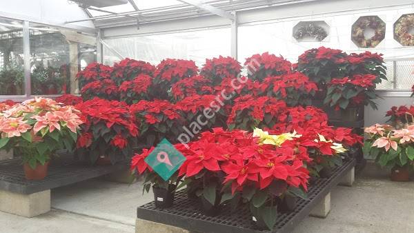 Medway Garden Center & Nursery