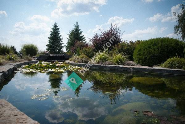 Michael Scott Landscaping & Design