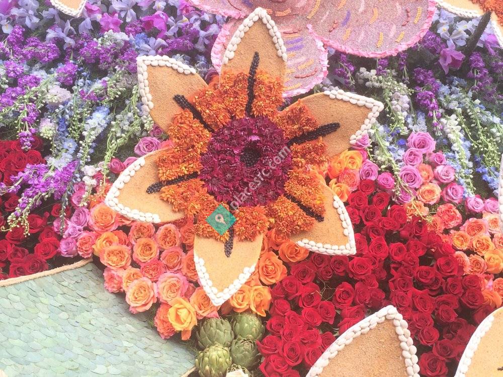 Minerva's House Cleaning