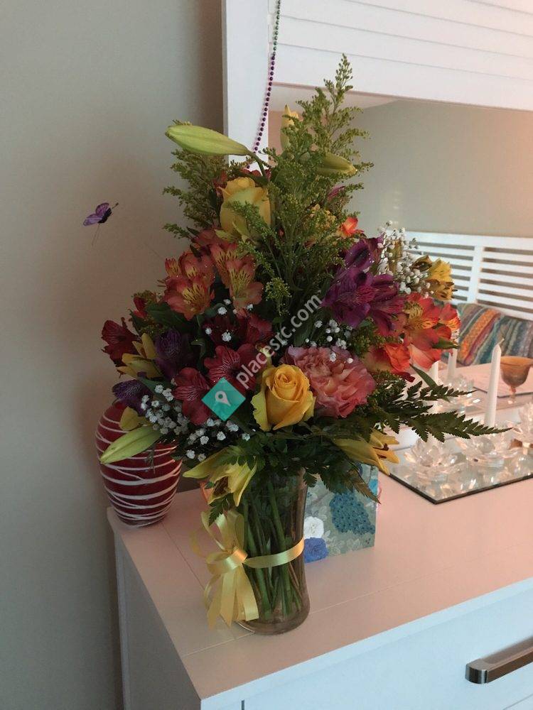 Miss Daisy's Flowers and Gifts