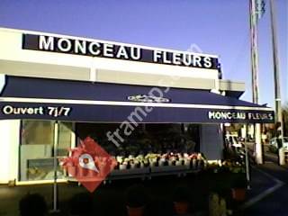 Monceau Fleurs