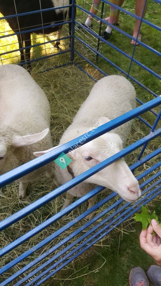 Montclair History Center