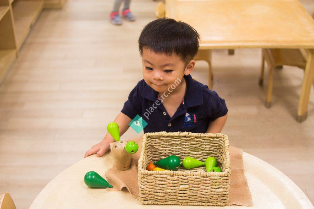 Montessori Reggio Acadamy