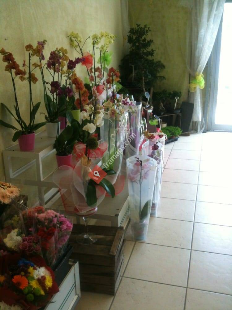 Multi Fleurs