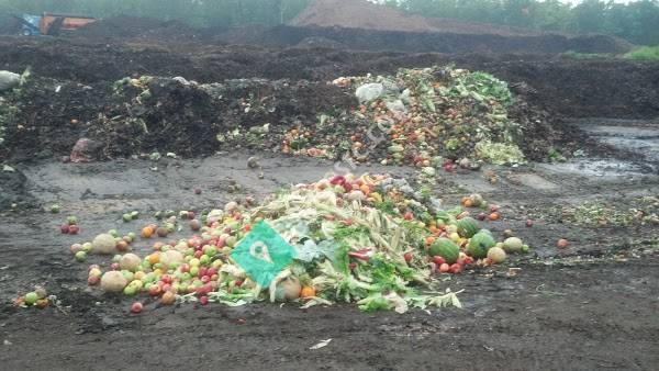 Natural Organic Process Enterprises Llc.