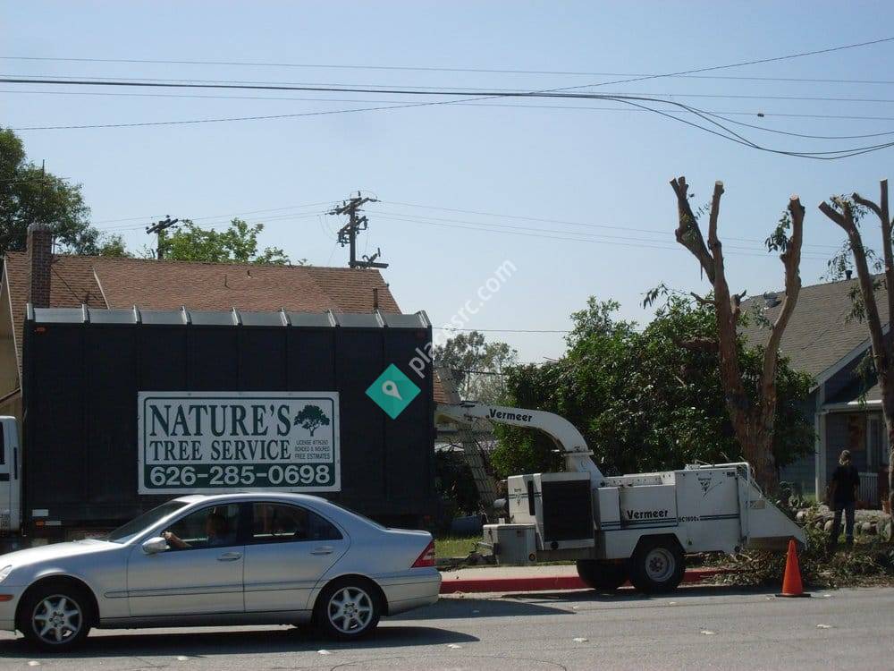 Nature's Tree Service