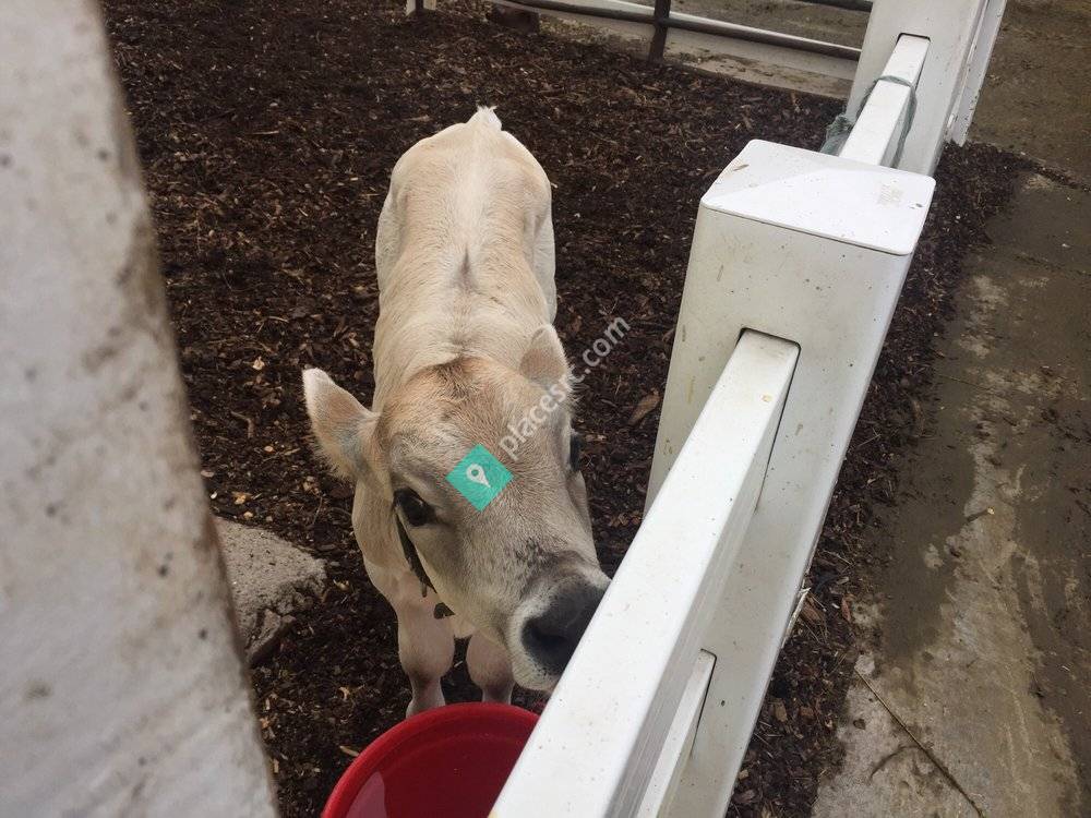 New Pond Farm Education Center