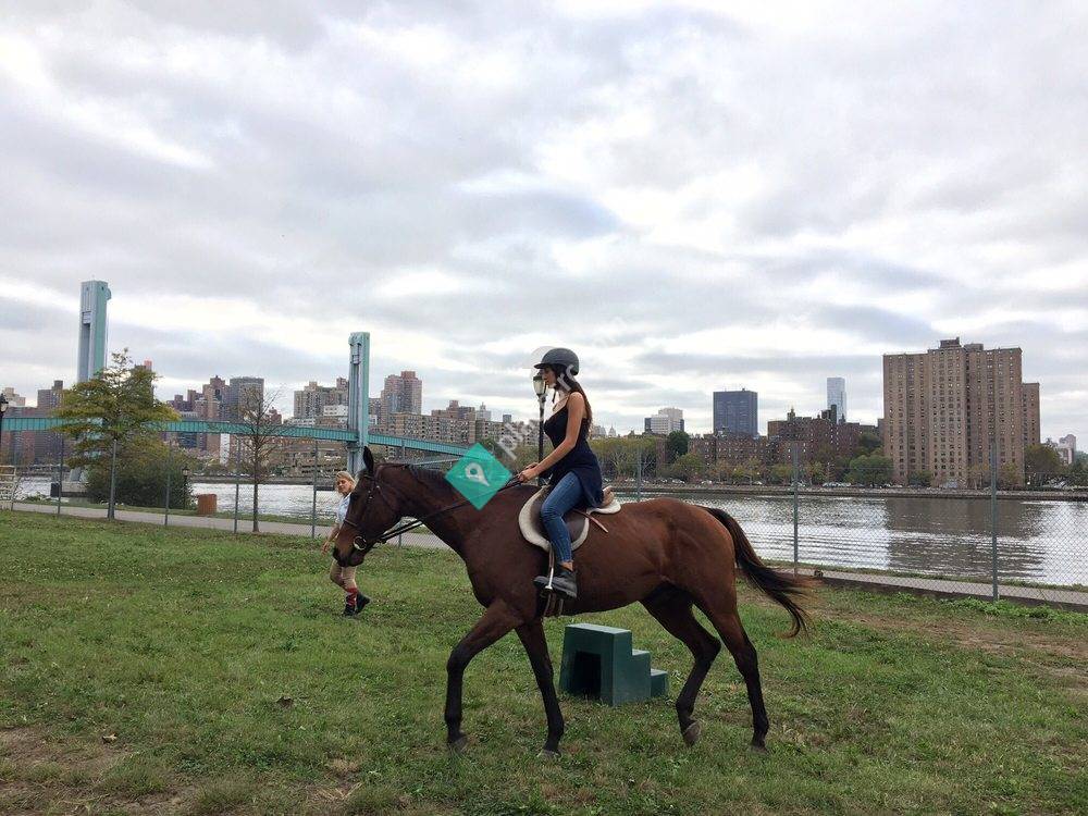 New York City Riding Academy