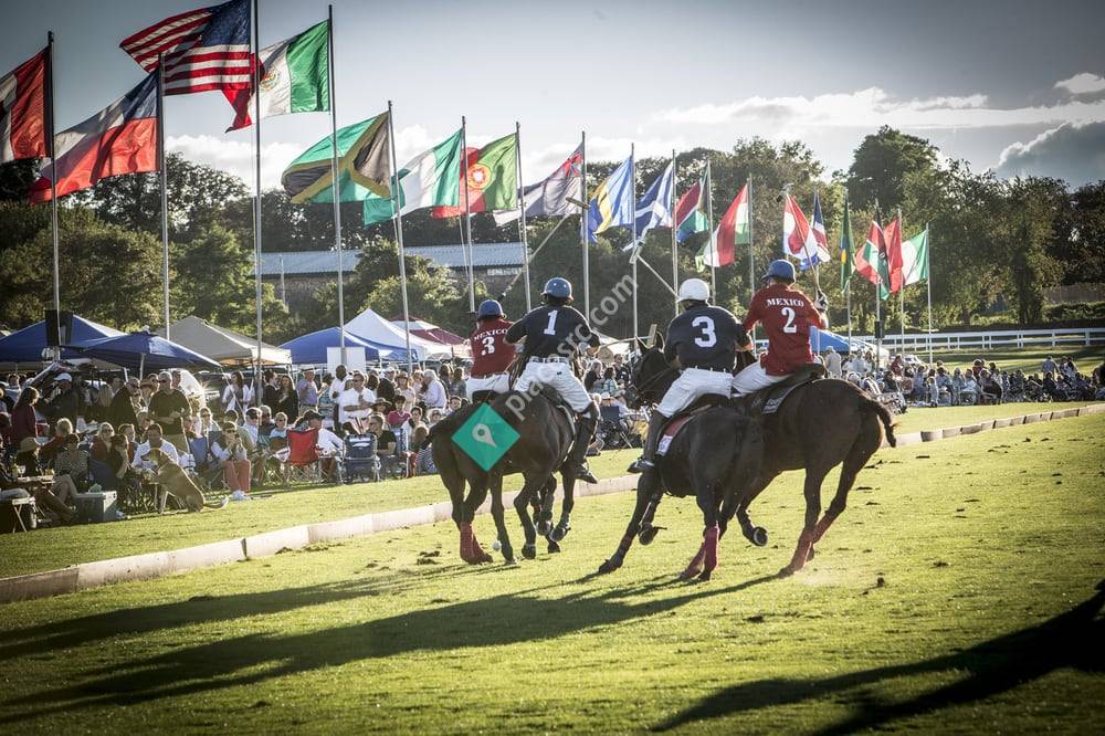 Newport Polo