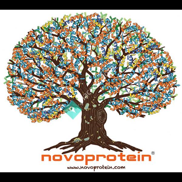 Novoprotein Scientific Inc