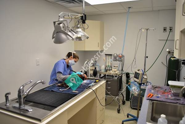 Orange Veterinary Hospital