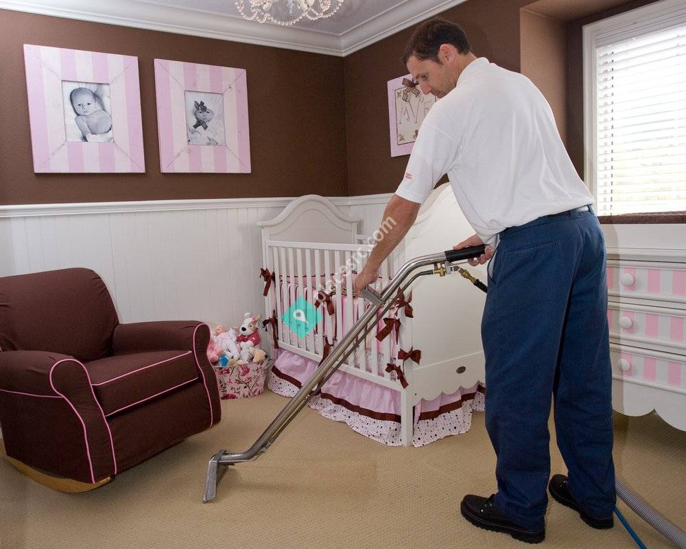 Paradise Carpet Cleaners Short Hills