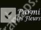 Parmi les Fleurs
