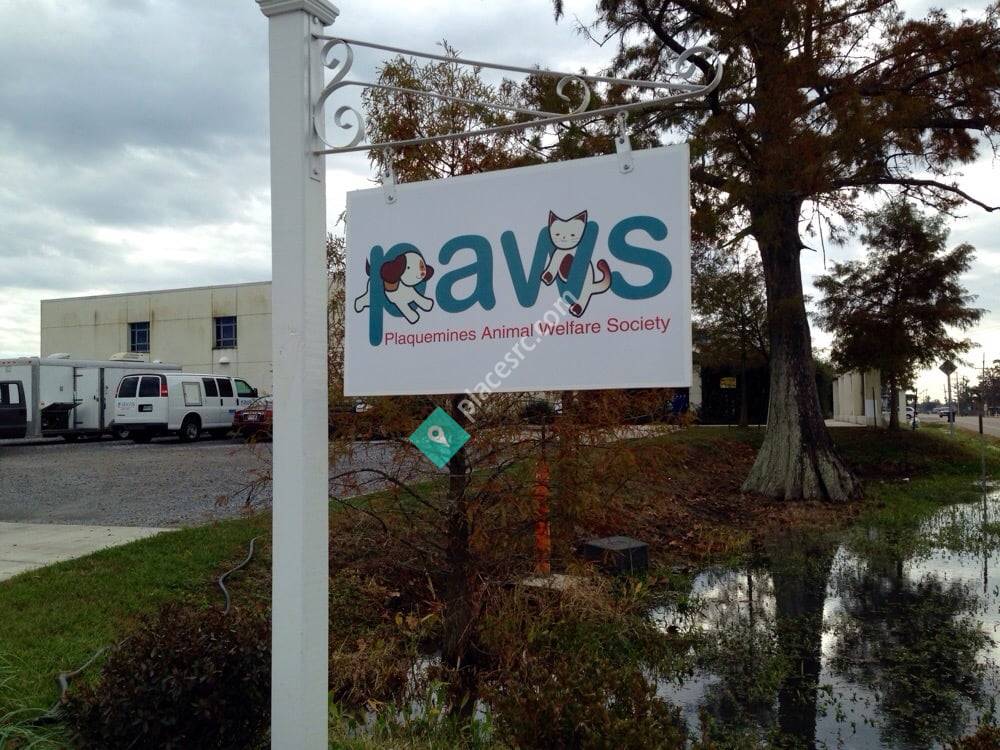 PAWS Plaquemines Animal Welfare Society Belle Chasse