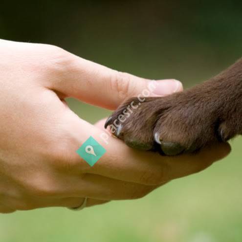 Pet Passages of Southbury | Dignified Pet Cremation & Memorialialization