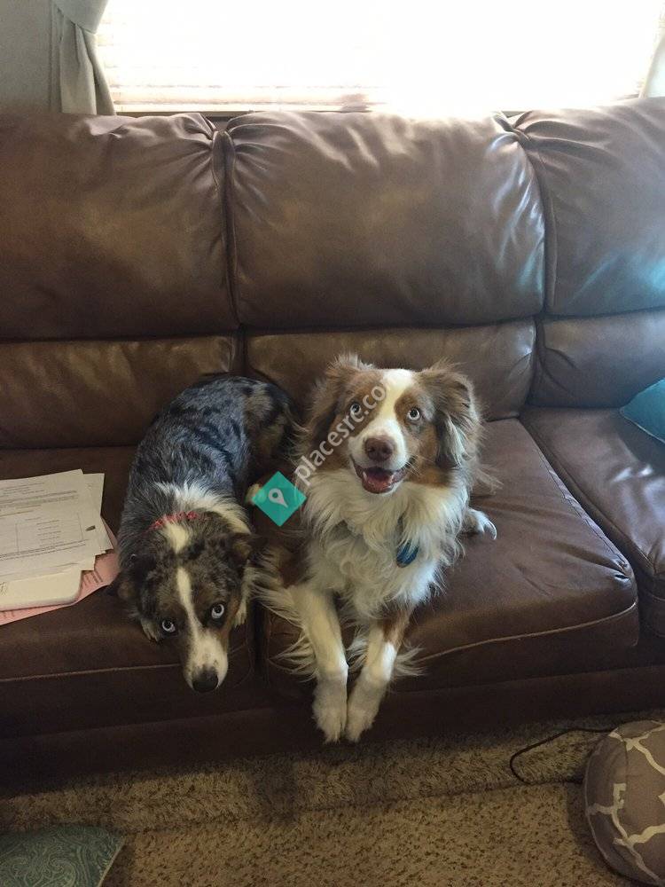 Pet Stop Veterinary Clinic Salt Lake City