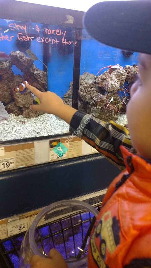 Petco Animal Supplies