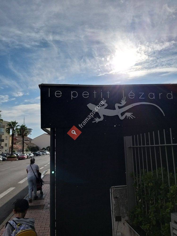 Petit Lézard