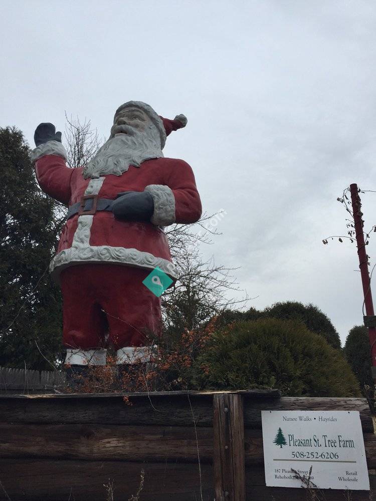 Pleasant Street Christmas Tree Farm