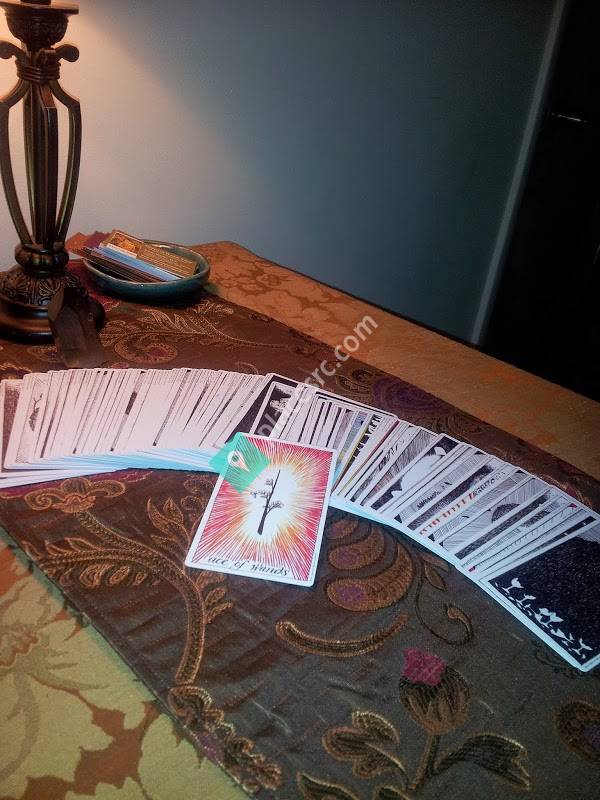 Queen of Wands Tarot: Intuitive Tarot Consultations