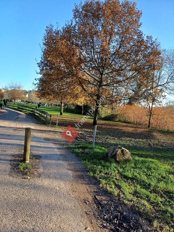 Résidence Les Bords de Sèvre - EHPAD - Fondation Cémavie
