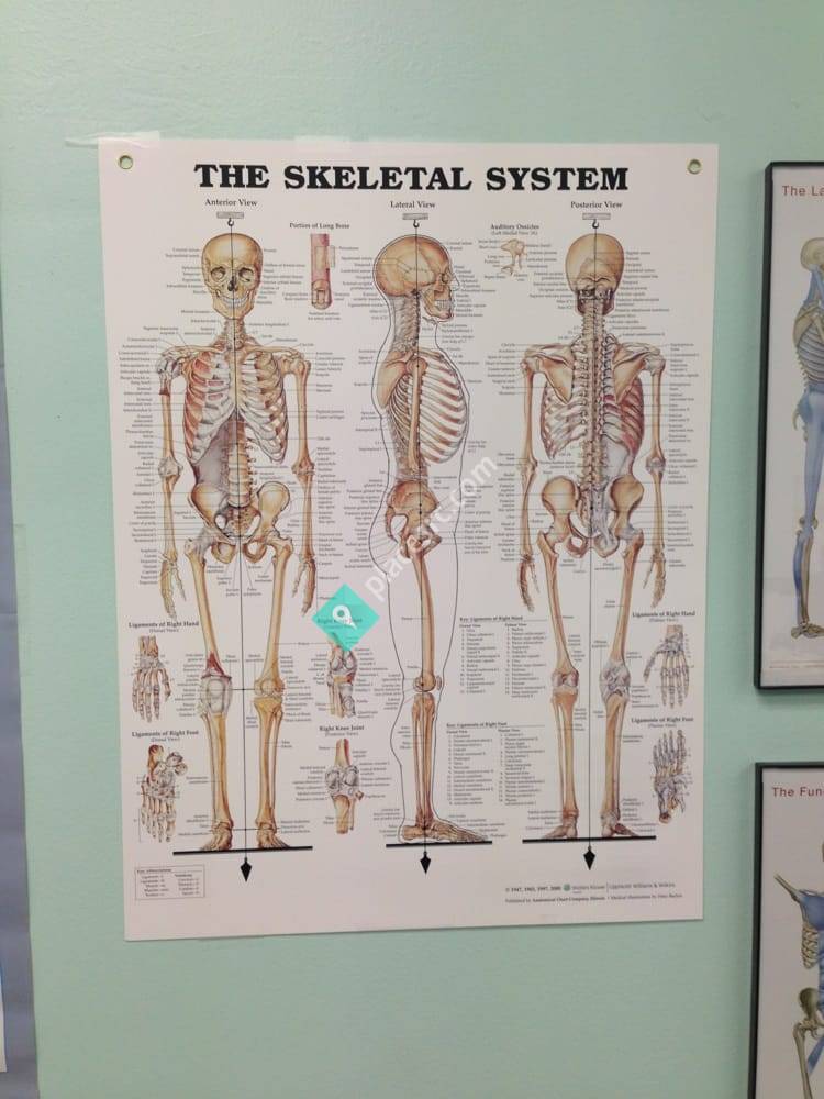 Revolutionary Physical Therapy And Massage Therapy