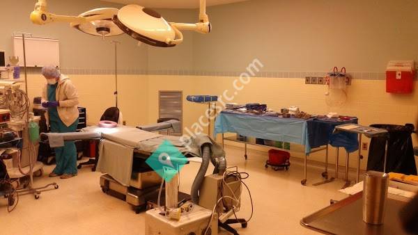 Richardson, Daniel MD