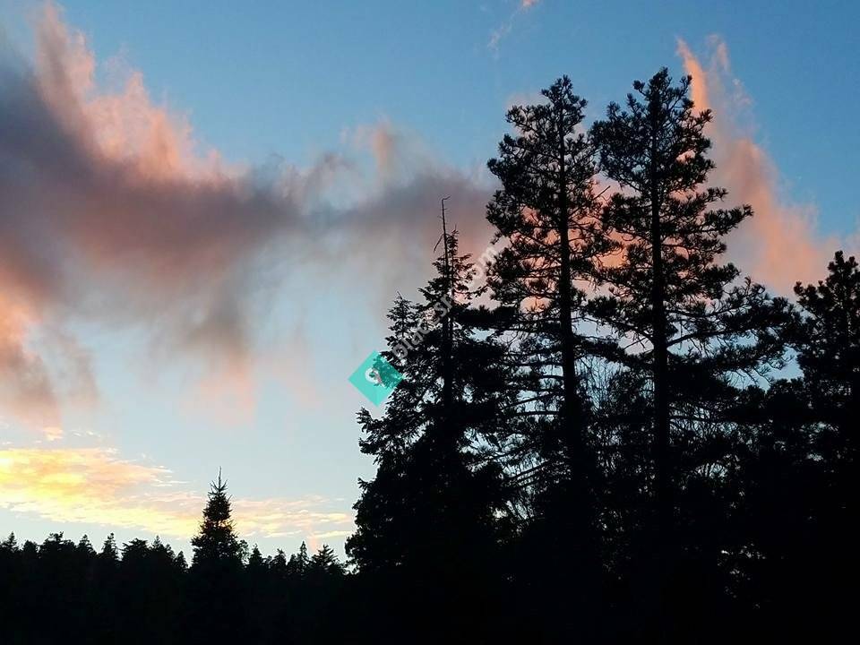 Rim Of The World House Cleaning