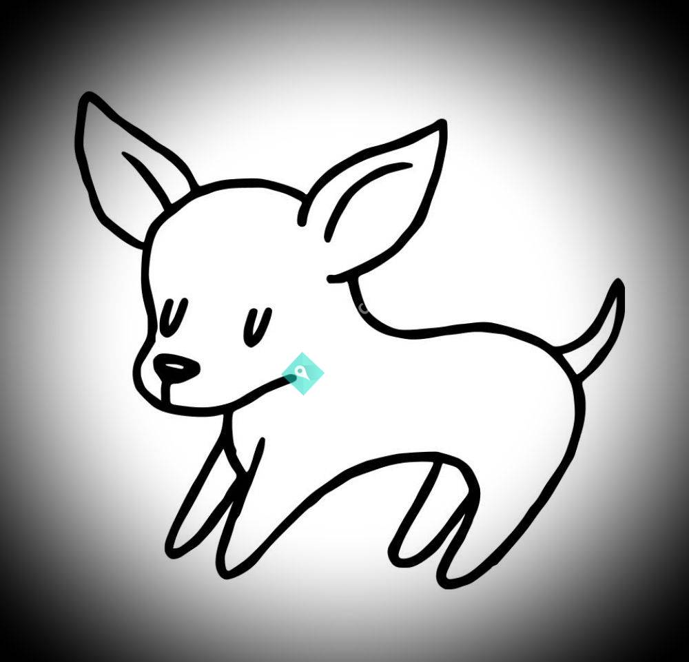 Sadie's Safe House Chihuahua Rescue