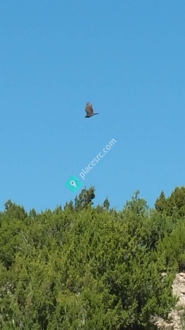 San Antonio Campground