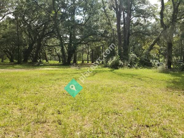 Santee Coastal Reserve