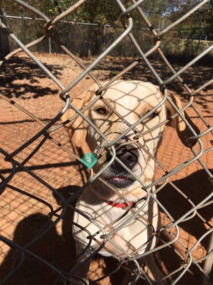 Second Chance Animal Sanctuary Norman