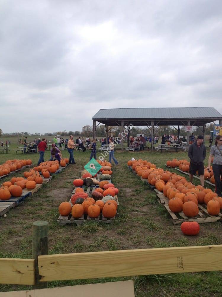 Shuck's Corn Maze & Pumpkin Patch - Pleasant Hill