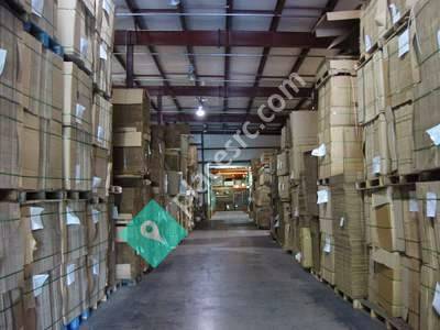 Springfield Corrugated Box Inc