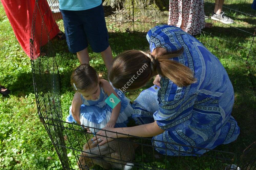 Squeals On Wheels Petting Zoo