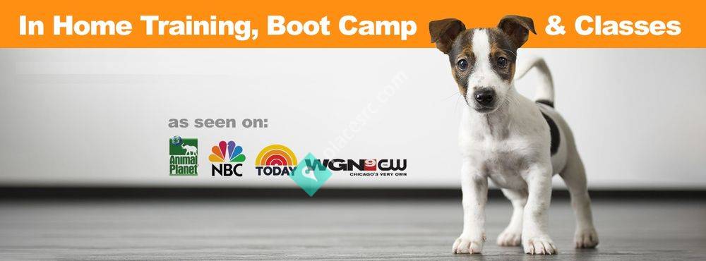 Suburban K9 Dog Training