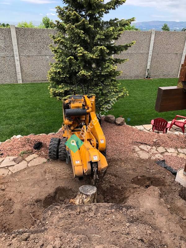 Swedin Tree Experts Salt Lake City