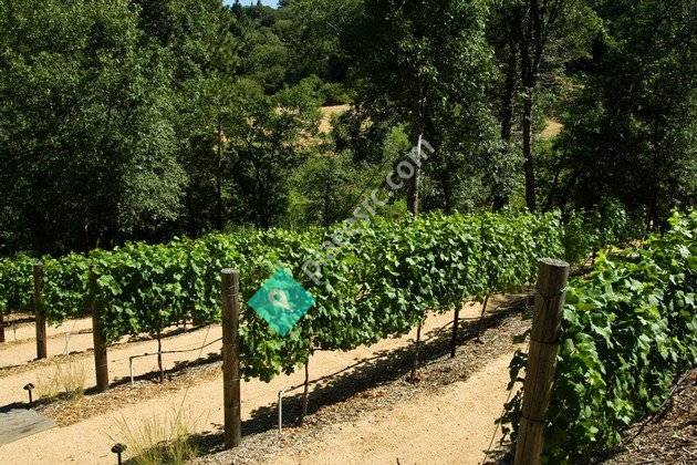 Sycamore Ranch Vineyard & Winery
