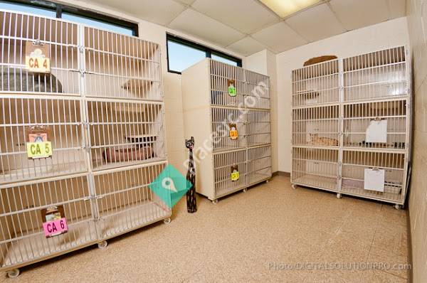 The Kennel Klub