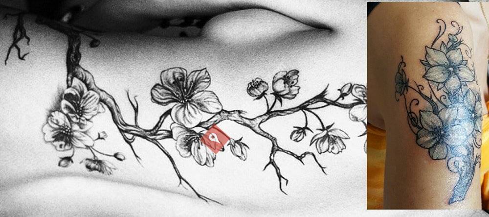 The Tattooed Lady